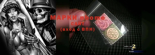 прущие грибы Сосновка