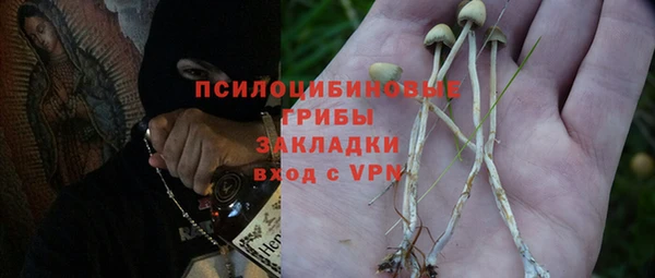 бутират Арсеньев