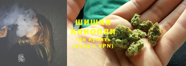 трава Сосновоборск