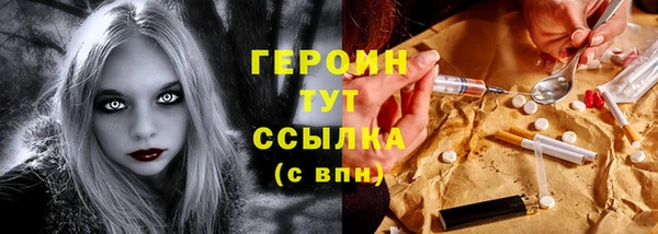 амф Снежногорск