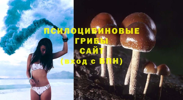 бутират Арсеньев