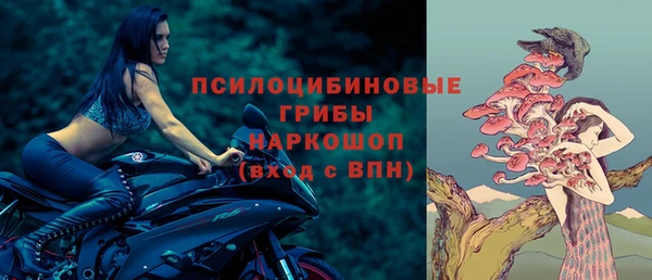 бутират Арсеньев
