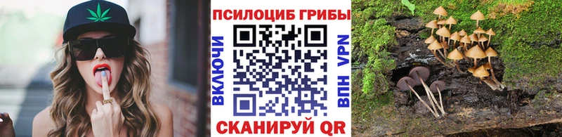 как найти Камбарка Галлюциногенные грибы MAGIC MUSHROOMS